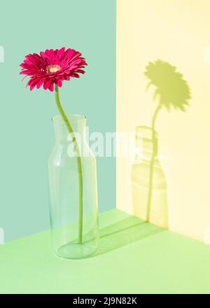 Composizione creativa con un fiore di gerbera in vaso di vetro su sfondo multicolore. Concetto astratto primavera estate. Layout rettangolo isometrico Foto Stock