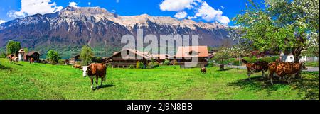 Campagna svizzera tradizionale. Paesaggio panoramico con mucche in verdi pascoli (prati) circondato da montagne alpine. Lago e villaggio di Brienz Foto Stock