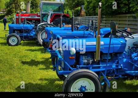 Trattori blu d'epoca in una mostra d'auto classica a Uithuizen, Groningen, Paesi Bassi. Foto Stock