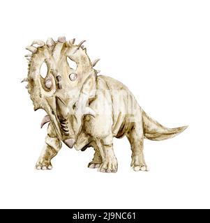 Dinosauro tropicale acquerello, graziosi dinosauri dipinti a mano.. Illustrazione Dino per design, carta da parati, scrapbooking Foto Stock