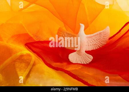 Domenica di Pentecoste. Sfondo di Pentecoste con colomba volante Foto Stock