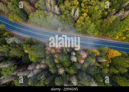 Veduta aerea della strada curvilinea che passa attraverso la foresta d'autunno, vista dall'alto Foto Stock
