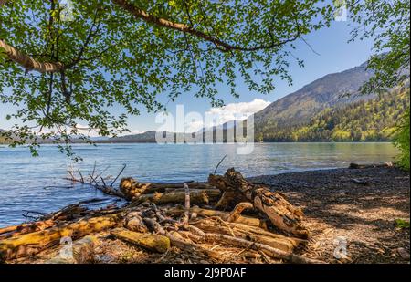 Splendida vista sul lago Cultus, British Columbia, Canada. Tempo di relax a Ccultus Lake, Chilliwack. Vista su un bellissimo lago con montagne sullo sfondo. PH. Di viaggio Foto Stock