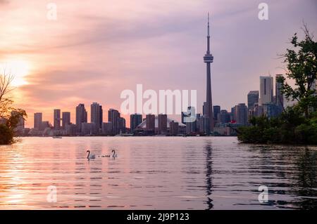 Toronto, Ontario, Canada - 06 16 2018: Vista del tramonto estivo dalle Toronto Islands attraverso il porto interno del lago Ontario sul centro di Toronto Foto Stock