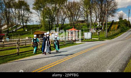 Adolescenti Amish ragazzi e ragazze che camminano lungo una strada rurale in campagna in un giorno di primavera Foto Stock