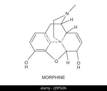 Icona della struttura molecolare chimica della morfina. Formula medica di farmaco oppioide isolato su sfondo bianco. Alcaloide con effetto analgesico antidolorifico. Illustrazione grafica vettoriale Illustrazione Vettoriale