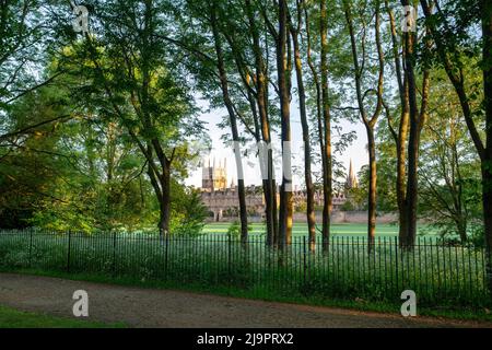 Merton college in una mattinata primaverile dalla passeggiata sul prato della chiesa di cristo. Oxford, Oxfordshire, Inghilterra Foto Stock