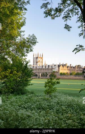 Merton college in una mattinata primaverile dalla passeggiata sul prato della chiesa di cristo. Oxford, Oxfordshire, Inghilterra Foto Stock