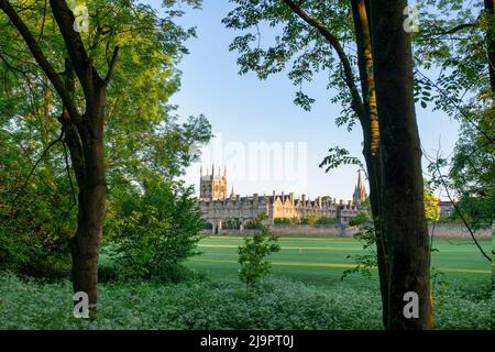 Merton college in una mattinata primaverile dalla passeggiata sul prato della chiesa di cristo. Oxford, Oxfordshire, Inghilterra Foto Stock