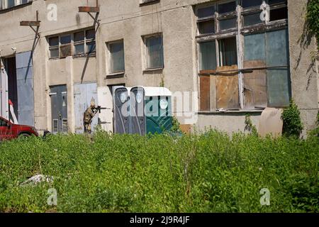 Lviv, Ucraina. 24th maggio 2022. Un soldato regola la vista del suo fucile durante un esercizio di addestramento ucraino sulla difesa territoriale. Gli ufficiali militari ucraini si addestrano durante l'esercizio di difesa territoriale a Lviv. La Russia ha invaso l'Ucraina il 24 febbraio 2022, scatenando il più grande attacco militare in Europa dalla seconda guerra mondiale Credit: SOPA Images Limited/Alamy Live News Foto Stock