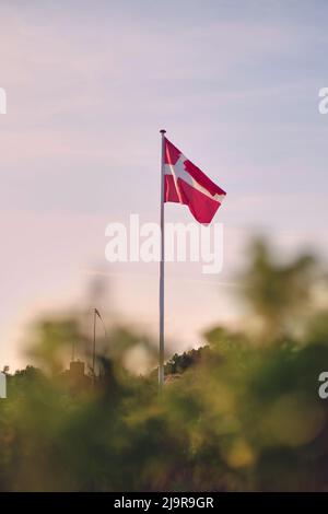 Bandiera danese, Dannebrog, nel vento. Foto di alta qualità Foto Stock