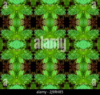 Astratto verde e marrone. Foto Stock