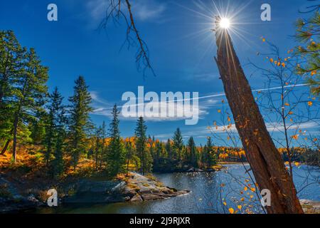 Canada, Ontario, Kenora. Sunburst dietro moncone sul lago dei boschi. Foto Stock