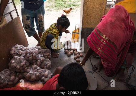 24 maggio 2022, Tehatta, Bengala Occidentale, India: Il governo del Bengala Occidentale ha diretto le scuole di governo di stato a distribuire le forniture di pasto di metà giorno ai genitori degli allievi durante le vacanze di estate in modo che i bambini bisognosi non siano privati del programma. L'avviso ha detto che ogni studente avrebbe ottenuto 2 kg di riso, 2 kg di patate, 250 grammi di zucchero, 250 grammi di legumi, e una saponetta. Così gli studenti sono venuti in una scuola elementare per ottenere i loro prodotti alimentari durante le vacanze estive e alcuni di loro stanno anche aiutando a dare gli articoli alimentari a Nabin Nagar, West Bengala. (Credit Image: © Soumrabyata Roy/Pacific Foto Stock