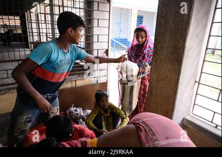 24 maggio 2022, Tehatta, Bengala Occidentale, India: Il governo del Bengala Occidentale ha diretto le scuole di governo di stato a distribuire le forniture di pasto di metà giorno ai genitori degli allievi durante le vacanze di estate in modo che i bambini bisognosi non siano privati del programma. L'avviso ha detto che ogni studente avrebbe ottenuto 2 kg di riso, 2 kg di patate, 250 grammi di zucchero, 250 grammi di legumi, e una saponetta. Così gli studenti sono venuti in una scuola elementare per ottenere i loro prodotti alimentari durante le vacanze estive e alcuni di loro stanno anche aiutando a dare gli articoli alimentari a Nabin Nagar, West Bengala. (Credit Image: © Soumrabyata Roy/Pacific Foto Stock