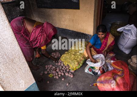 24 maggio 2022, Tehatta, Bengala Occidentale, India: Il governo del Bengala Occidentale ha diretto le scuole di governo di stato a distribuire le forniture di pasto di metà giorno ai genitori degli allievi durante le vacanze di estate in modo che i bambini bisognosi non siano privati del programma. L'avviso ha detto che ogni studente avrebbe ottenuto 2 kg di riso, 2 kg di patate, 250 grammi di zucchero, 250 grammi di legumi, e una saponetta. Così gli studenti sono venuti in una scuola elementare per ottenere i loro prodotti alimentari durante le vacanze estive e alcuni di loro stanno anche aiutando a dare gli articoli alimentari a Nabin Nagar, West Bengala. (Credit Image: © Soumrabyata Roy/Pacific Foto Stock