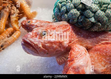 Italia, Venezia. Una varietà di pesci in mostra e in vendita nel mercato del pesce di Rialto. Foto Stock