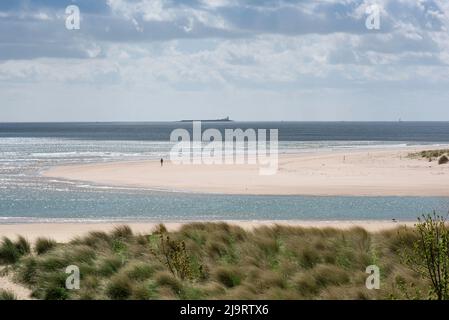 La costa del Northumberland, vista in tarda primavera delle dune e la spiaggia di sabbia bianca in Alnmouth Bay sulla costa del Northumberland, Alnmouth, Inghilterra, Regno Unito Foto Stock