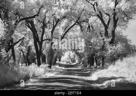 Country Road in Kansas, foto a infrarossi Foto Stock