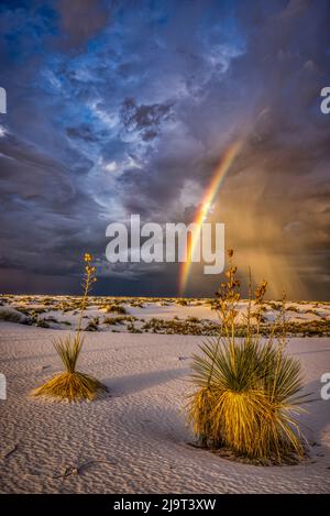 USA, New Mexico, White Sands National Park. Temporale arcobaleno sul deserto. Foto Stock