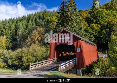 Ponte coperto di Chitwood sul fiume Yaquina nella contea di Lincoln, Oregon, USA Foto Stock