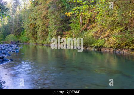 USA, Washington state, Olympic National Forest. Paesaggio del fiume Duckabush. Foto Stock
