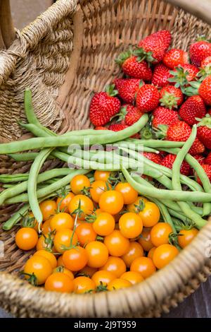 Issaquah, stato di Washington, Stati Uniti. Cestino di fragole appena raccolte, fagioli verdi di palo di Monto Cristo e pomodori ciliegini al Sungold appoggiati su un legno Foto Stock