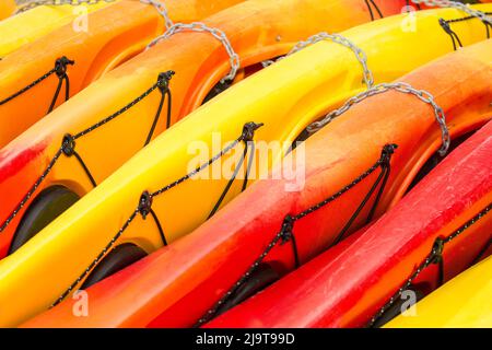 Issaquah, stato di Washington, Stati Uniti. Kayak colorati sdraiati al loro fianco in un luogo di noleggio kayak al Lake Sammamish state Park. Foto Stock