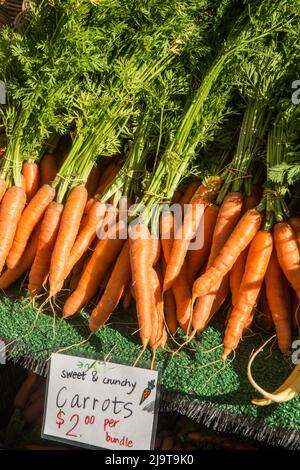 Issaquah, stato di Washington, Stati Uniti. Mucchio di carote in vendita ad un mercato agricolo Foto Stock