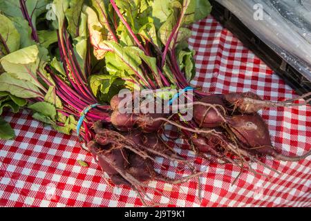 Issaquah, stato di Washington, Stati Uniti. Mazzi di barbabietole in vendita presso un mercato agricolo Foto Stock