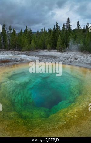Mattina Glory Pool, parco nazionale di Yellowstone. Foto Stock