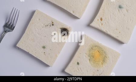 Fette di pane tostato con muffa crescente isolato su sfondo bianco. Forgi il fungo sul pane marcio. Vista dall'alto Foto Stock