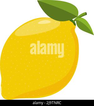 limone giallo frutta isolato su sfondo bianco, disegno piatto vettore illustrazione Illustrazione Vettoriale
