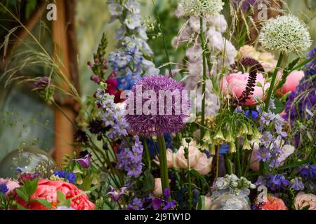 Il Chelsea Flower Show 2022 è aperto. Nonostante le tempeste di tuoni, sembra fantastico con tutti i giardini e le esposizioni di fiori. Una festa floreale per gli occhi. Queste foto sono state scattate il primo giorno aperto al pubblico. Foto Stock