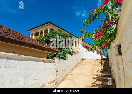 Strada vuota con fiori nel villaggio africano Kendwa, isola di Zanzibar, Tanzania Foto Stock