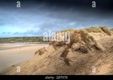 Gravi danni causati dall'attività umana al fragile sistema di dune di sabbia a Crantock Beach a Newquay in Cornovaglia. Foto Stock