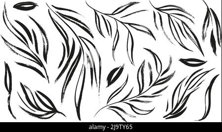 Diramazioni di pianta con vettore a foglie lunghe. Illustrazione Vettoriale