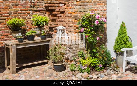 Fiori e piante di fronte a un vecchio muro di mattoni a Harderwijk, Paesi Bassi Foto Stock