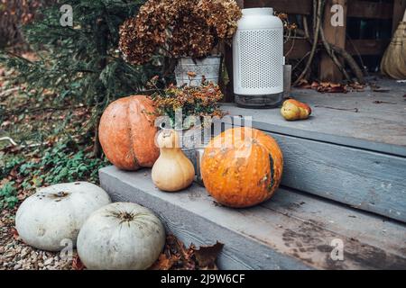 Decorazione autunnale, decorazione di portico per festa di Halloween, vacanza. Vecchie zucche arancioni, bouquet di foglie di acero in metallo vaso.Home, outdoort, strada d Foto Stock