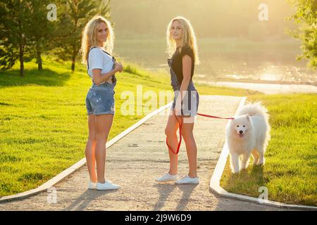 due bella e affascinante donna bionda gemelli in tute denim stanno camminando con un bianco e soffice cane samoyed nel parco Foto Stock