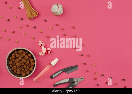 Accessori per la cura del cane. Pettini e spazzole per cani. Vista dall'alto Foto Stock