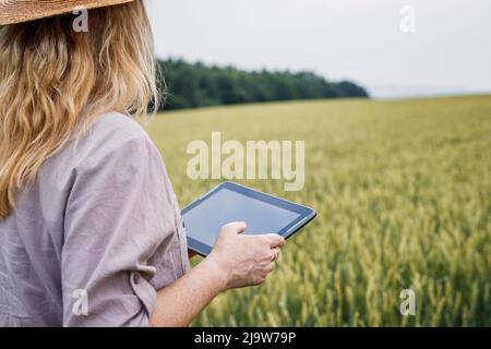 Donna contadina che utilizza la tecnologia moderna per un'agricoltura intelligente. Agronomo femminile con tavoletta digitale di esame e controllo di qualità del campo di grano. Agricultura Foto Stock