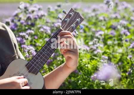 Donna che impara a giocare all'aperto ukulele in un prato fiorito in primavera Foto Stock