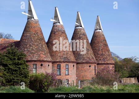 Oasthouses a Ickham, Kent Foto Stock