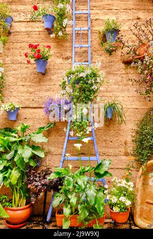 Un patio tradizionale di Cordoba, un cortile pieno di fiori e freschezza. San Basilio, Alcazar Viejo. Andalucia, Spagna Foto Stock