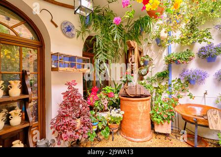 Un patio tradizionale di Cordoba, un cortile pieno di fiori e freschezza. San Basilio, Andalusia, Spagna Foto Stock