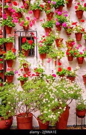 Un patio tradizionale di Cordoba, un cortile pieno di fiori e freschezza. Casa-patio 'El Langosta'. San Basilio. Andalucia, Spagna Foto Stock