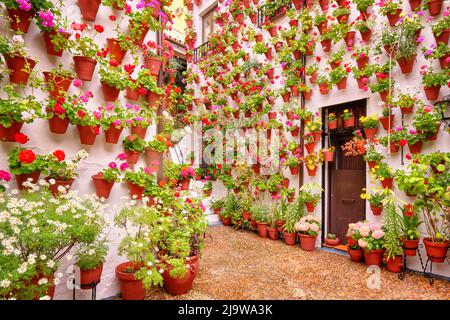 Un patio tradizionale di Cordoba, un cortile pieno di fiori e freschezza. Casa-patio 'El Langosta'. San Basilio. Andalucia, Spagna Foto Stock