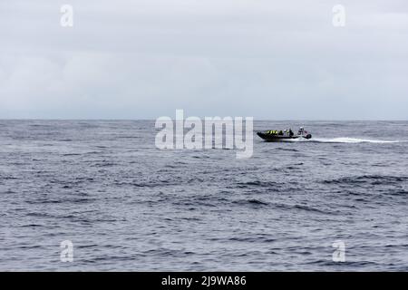 Andenes, Norvegia. Agosto 8, 2020. Seasafari andenes whale safari motoscafo sul Mare di Norvegia in tempo nuvoloso. Foto Stock