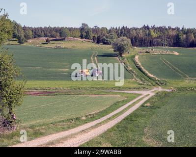 Spruzzando il raccolto di grano di inverno in primavera usando un'irroratrice trainata, Foto Stock